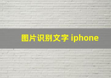 图片识别文字 iphone